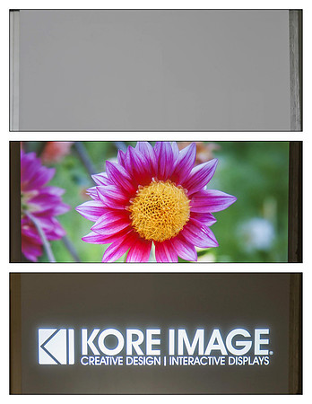 White Projection Screen